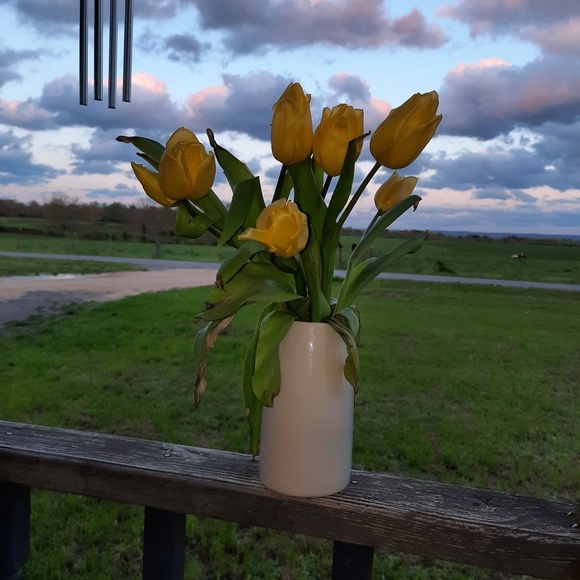 Meet your Posher, π§πΌββοΈbama trinket$ - Picture 2 of 3